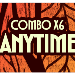 Combo x 6 Anytime